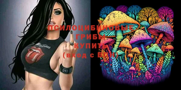 соль курить ск Алзамай