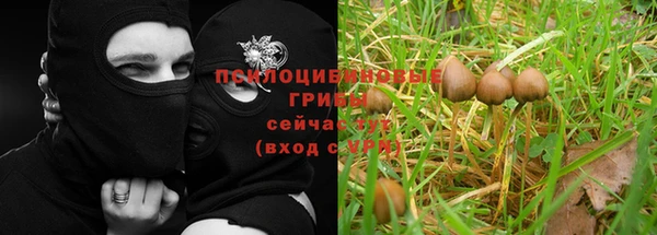 МДМА Алексеевка