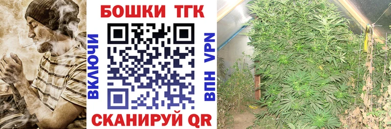 купить наркоту  Учалы  Конопля план 